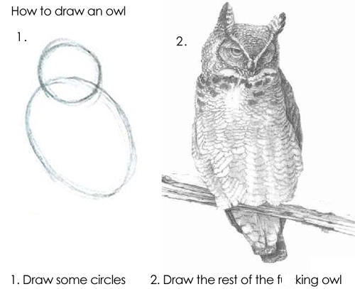 A charcoal drawing of an owl with two steps