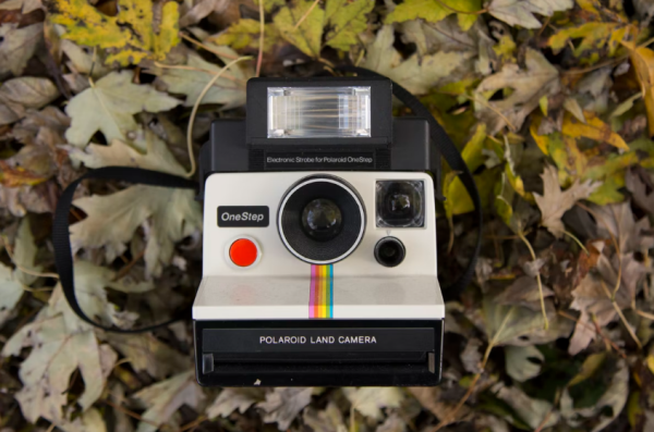 A polaroid camera sitting lens up in a pile of fallen brown leaves